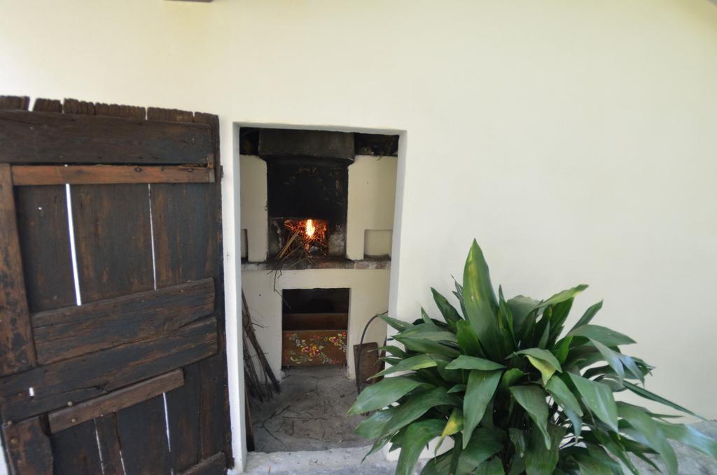 Casa Romana Viareggio Exterior foto
